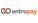 entropay logo