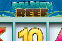 Dolphin Reef